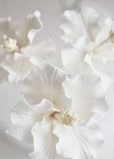 【クリスマスコフレ】by GINZA SIX店