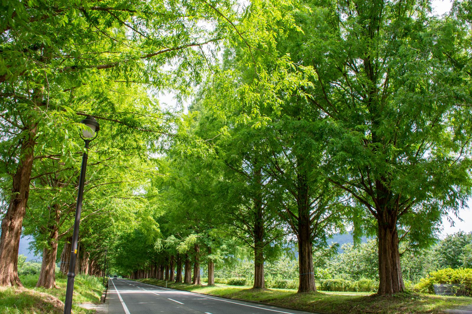 【人気製品が5月だけの限定ボトルで登場】by 岩田屋本店