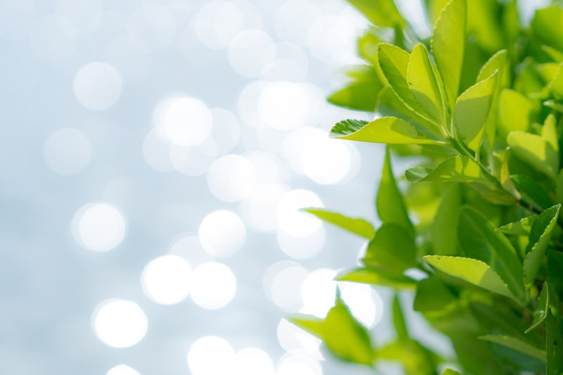 【まだまだ注意!】by 大丸梅田店