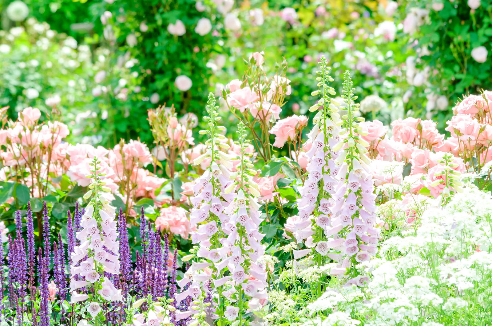 【春に向けて】by GINZA SIX店