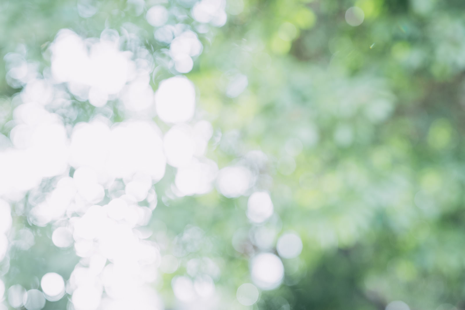 【ブライトニングケアはじまります!】by 東京ミッドタウン店